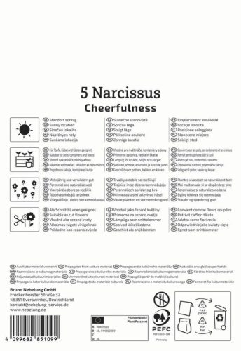 Nárcisz teltvirágú Cheerfulness (5 db/cs) 'PG-3' KIEPENKERL