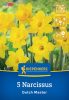 Nárcisz trombitavirágú Dutch Master (5 db/cs) 'PG-3' KIEPENKERL