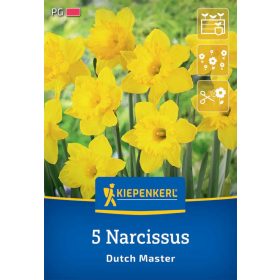   Nárcisz trombitavirágú Dutch Master (5 db/cs) 'PG-3' KIEPENKERL