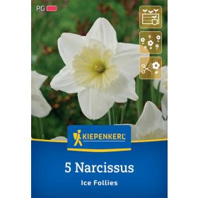   Nárcisz nagykoronájú Ice Follies (5 db/cs) 'PG-3' KIEPENKERL