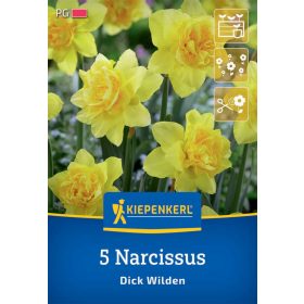   Nárcisz teltvirágú Dick Wilden (5 db/cs) 'PG-3' KIEPENKERL