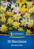 Nárcisz Miniatur-Mix (sziklakerti keverék) (10 db/cs) 'PG-3' KIEPENKERL