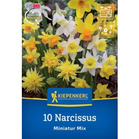   Nárcisz Miniatur-Mix (sziklakerti keverék) (10 db/cs) 'PG-3' KIEPENKERL