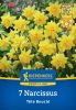 Nárcisz botanikai Tête Bouclé (7 db/cs) 'PG-3' KIEPENKERL