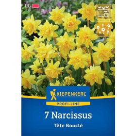   Nárcisz botanikai Tête Bouclé (7 db/cs) 'PG-3' KIEPENKERL