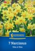 Nárcisz botanikai Tête à Tête (7 db/cs) 'PG-3' KIEPENKERL