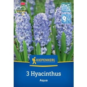 Jácint Aqua (3 db/cs) 'PG-3' KIEPENKERL