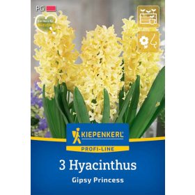 Jácint Gipsy Princess (3 db/cs) 'PG-3' KIEPENKERL