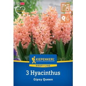 Jácint Gipsy Queen (3 db/cs) 'PG-3' KIEPENKERL