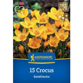   Krókusz botanikai Goldilocks (15 db/cs) 'PG-3' KIEPENKERL