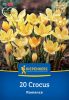 Krókusz botanikai Romance (20 db/cs) 'PG-3' KIEPENKERL