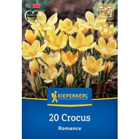   Krókusz botanikai Romance (20 db/cs) 'PG-3' KIEPENKERL