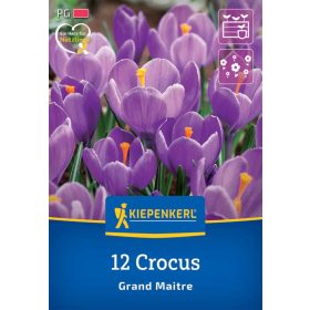   Krókusz nagyvirágú Grand Maitre (12 db/cs) 'PG-3' KIEPENKERL