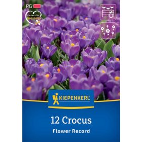   Krókusz nagyvirágú Flower Record (12 db/cs) 'PG-3' KIEPENKERL