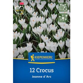   Krókusz nagyvirágú Jeanne d'Arc (12 db/cs) 'PG-3' KIEPENKERL