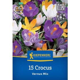   Krókusz nagyvirágú színkeverék (15 db/cs) 'PG-4' KIEPENKERL