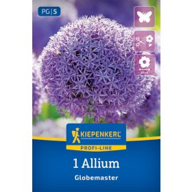Díszhagyma Globemaster (1 db/cs) 'PG-5' ProfiLine