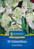 Hóvirág (Galanthus Flore Pleno) (10 db/cs) 'PG-4' KIEPENKERL