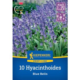   Kékcsengő Blue Bells (10 db/cs) 'PG-3' KIEPENKERL