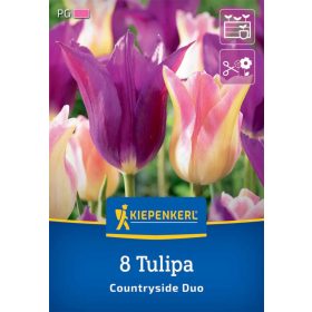   Tulipán-Duo Countryside (8 db/cs) 'PG-5' KIEPENKERL