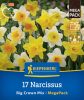 Nárcisz nagyvirágú színkeverék (17 db/cs) 'PG-6' Mega-Pack KIEPENKERL