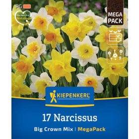   Nárcisz nagyvirágú színkeverék (17 db/cs) 'PG-6' Mega-Pack KIEPENKERL