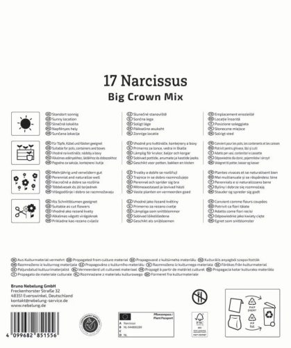 Nárcisz nagyvirágú színkeverék (17 db/cs) 'PG-6' Mega-Pack KIEPENKERL
