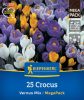 Krókusz nagyvirágú színkeverék (25 db/cs) 'PG-6' Mega-Pack KIEPENKERL