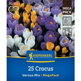   Krókusz nagyvirágú színkeverék (25 db/cs) 'PG-6' Mega-Pack KIEPENKERL
