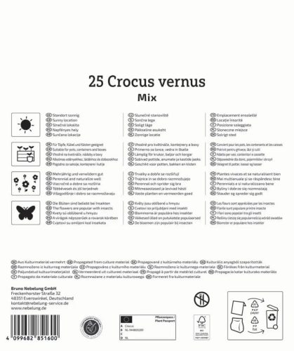 Krókusz nagyvirágú színkeverék (25 db/cs) 'PG-6' Mega-Pack KIEPENKERL