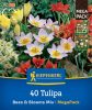 Bees & Blooms Mix (40 db/cs) 'PG-6' Mega-Pack KIEPENKERL