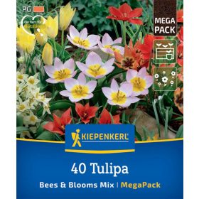   Bees & Blooms Mix (40 db/cs) 'PG-6' Mega-Pack KIEPENKERL