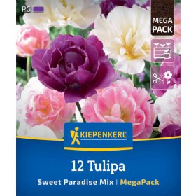   Tulipán Sweet Paradise Mix (12 db/cs) 'PG-7' Mega-Pack KIEPENKERL