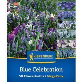   Blue Celebration Mix (50 db/cs) 'PG-6' Mega-Pack KIEPENKERL