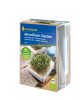 MicroGreen Garden mikrozöldség készlet hajtató tál + 4 vetőmagpárna KIEPENKERL