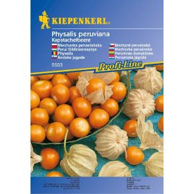 Perui földicseresznye 30 szem 'PG-G' KIEPENKERL