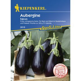 Tojásgyümölcs Falcon 'PG-N' KIEPENKERL