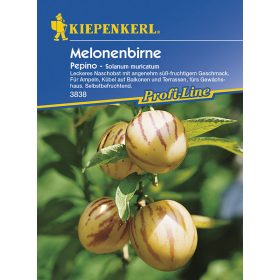 Tojásdinnye Pepino 'PG-O' KIEPENKERL