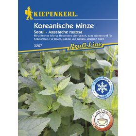 Koreai menta Seoul 'PG-F' KIEPENKERL