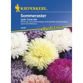 Őszirózsa Lady Coral Mix 'PG-G' KIEPENKERL