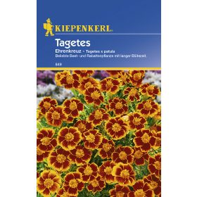 Bársonyvirág Ehrenkreuz 'PG-C' KIEPENKERL