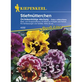   Árvácska Orchidea virágú keverék 'PG-K' KIEPENKERL