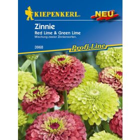   Legényvirág Red Lime + Green Lime 'PG-N' KIEPENKERL