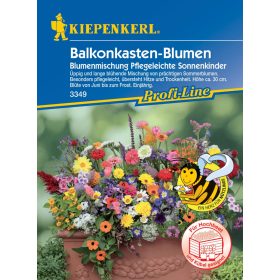 Virágkeverék Balkonnövények 'PG-K' KIEPENKERL