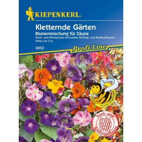   Virágkeverék Kúszónövény keverék 'PG-K' KIEPENKERL