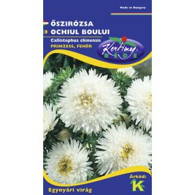 Őszirózsa Prinzess fehér 1g RÉDEI