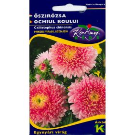 Őszirózsa Prinzess rózsaszín 1g RÉDEI