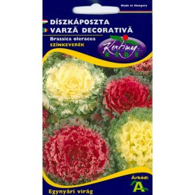Díszkáposzta RÉDEI