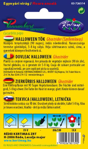 Halloween tök 2g RÉDEI
