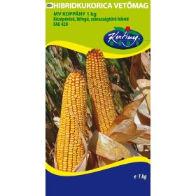 Takarmánykukorica Koppány (FAO 420) 1000g RÉDEI